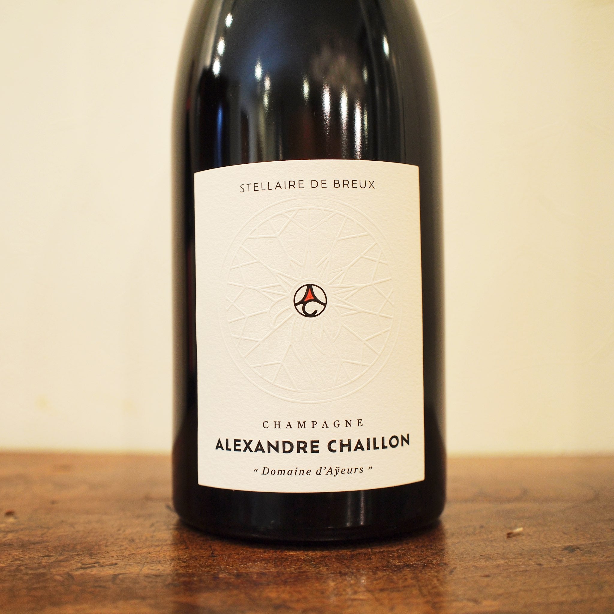 アレクサンドルシャイヨン Alexandre Chaillon デュオ・ドブルー