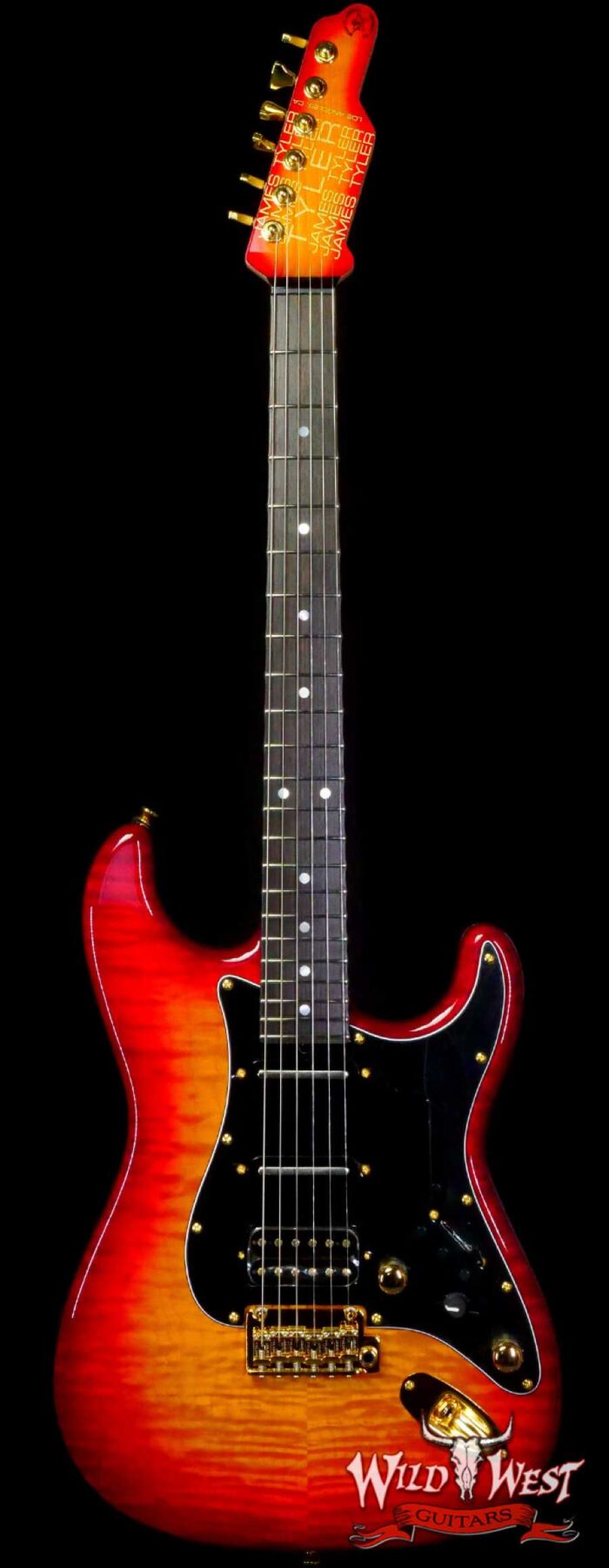 JAMES TYLER ELECTRIC MAXIMUM TONE ピックアップ JAMES TYLER