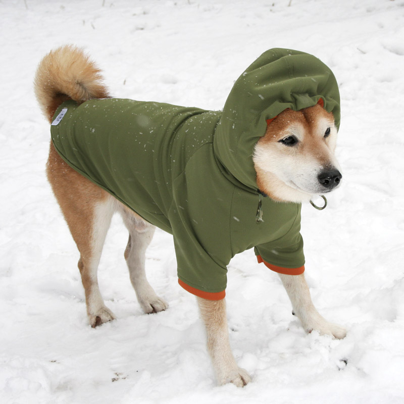 犬と生活 Rパーカー ｜ 小型犬・中型犬・大型犬のレインコート、撥水