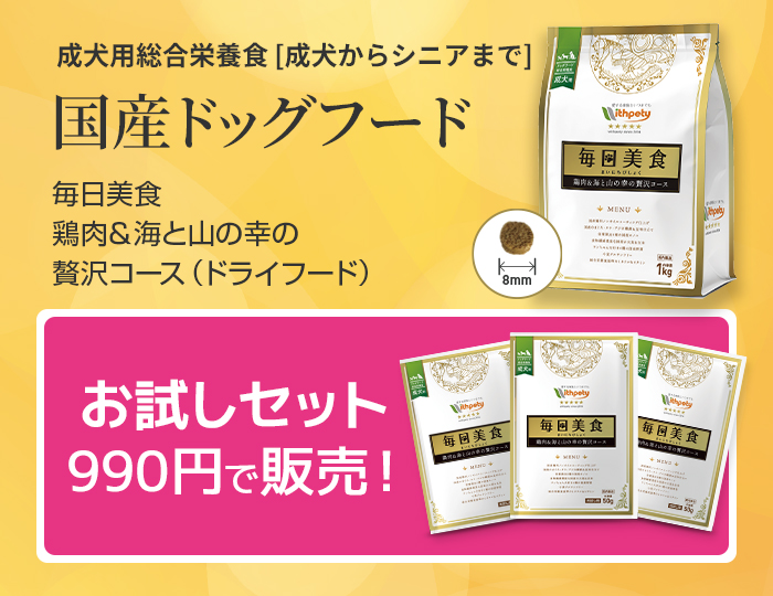 毎日免活【公式ウィズペティ】猫用免疫サプリ｜冬虫夏草・L-リジン配合