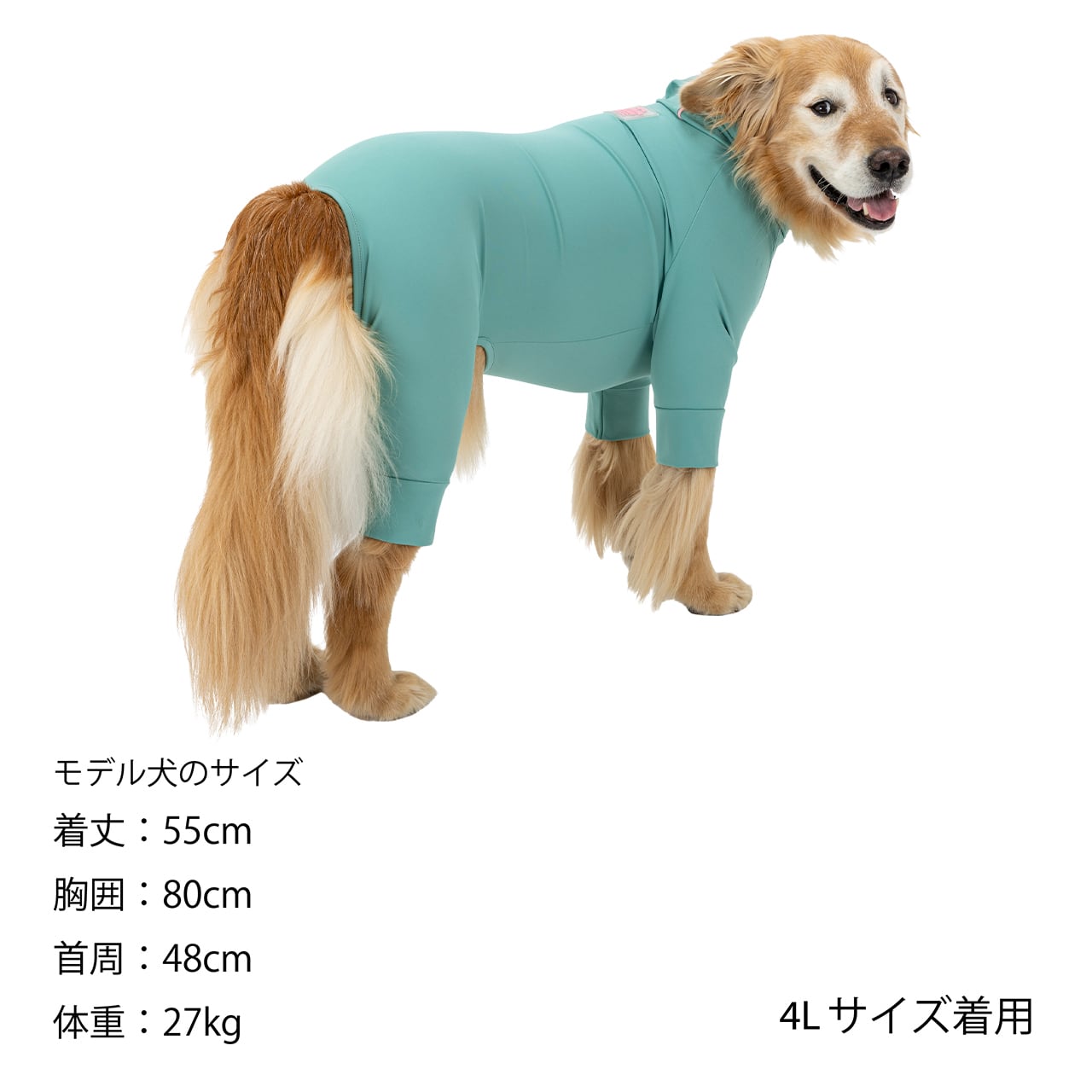 マンダリンブラザーズ 撥水 ウォーターリペレントスキンタイトスーツ