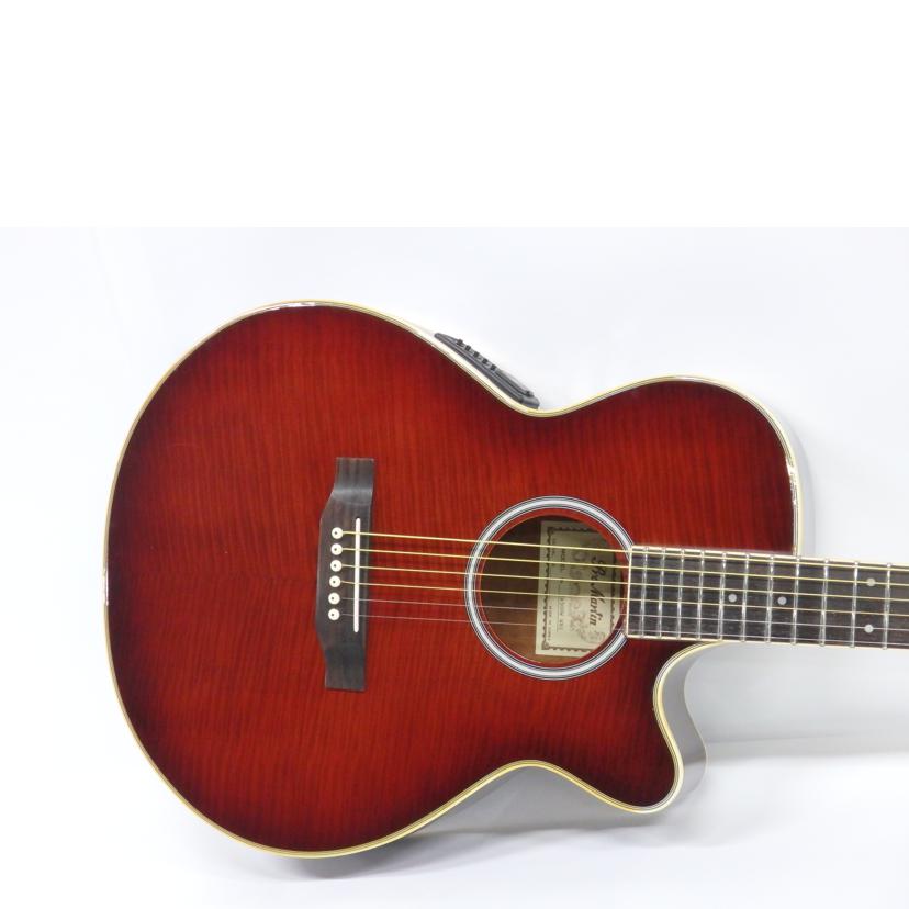 Pro Martin W400 アコースティックギター Pro Martin W400