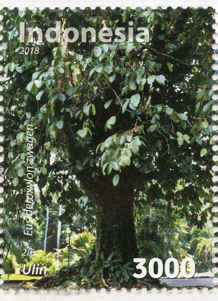 Indonesia インドネシア|切手に見る樹木|11-木とデザイン|木の情報発信基地