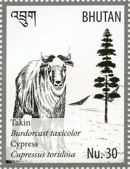 ブータン王国|切手に見る樹木|11-木とデザイン|木の情報発信基地