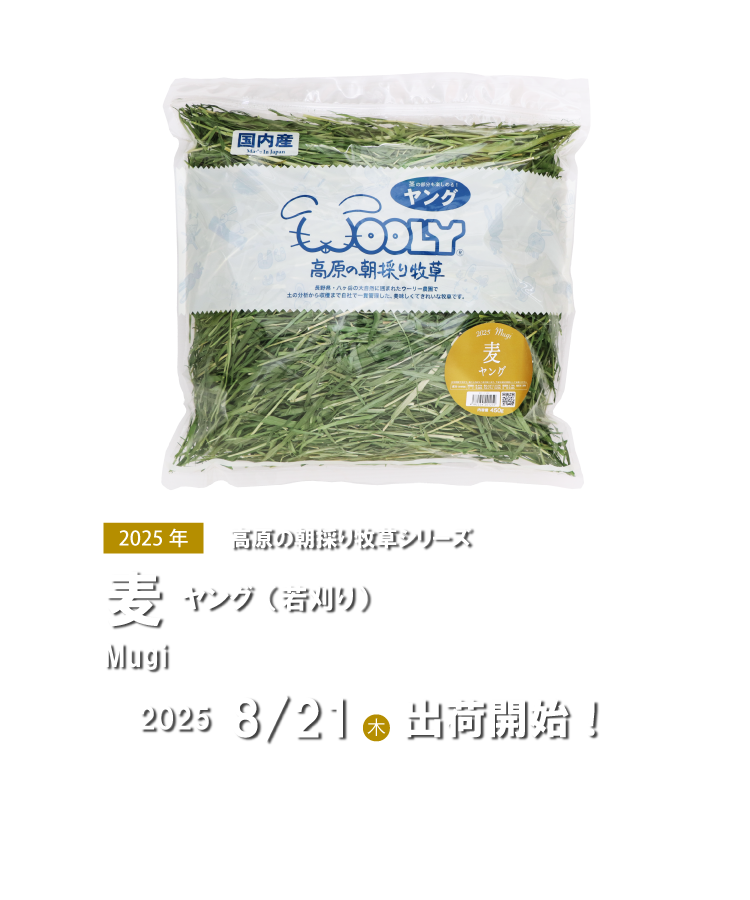 ウーリー woolly ワイルド イタリアン 未開封 セット 2025年製 3袋