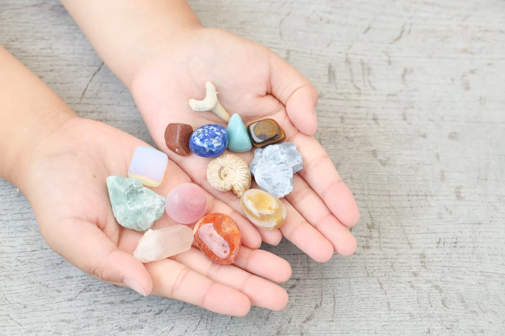 化石発掘体験企画】星空プロダクト株式会社×福島県田村市の「星の村