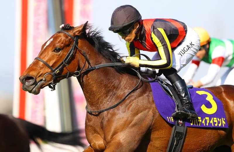 リバティアイランド（Liberty Island） | 競馬データベース | JRA-VAN