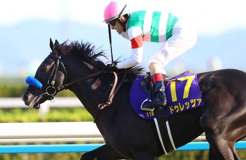 シュヴァルグラン（Cheval Grand） | 競馬データベース | JRA-VAN