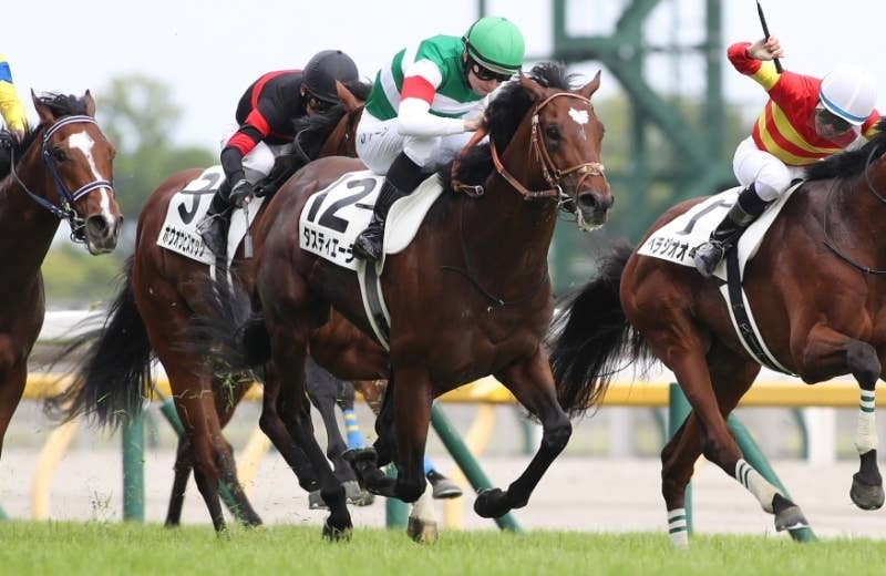 2024香港国際競走 | JRA-VAN World - 海外競馬情報サイト