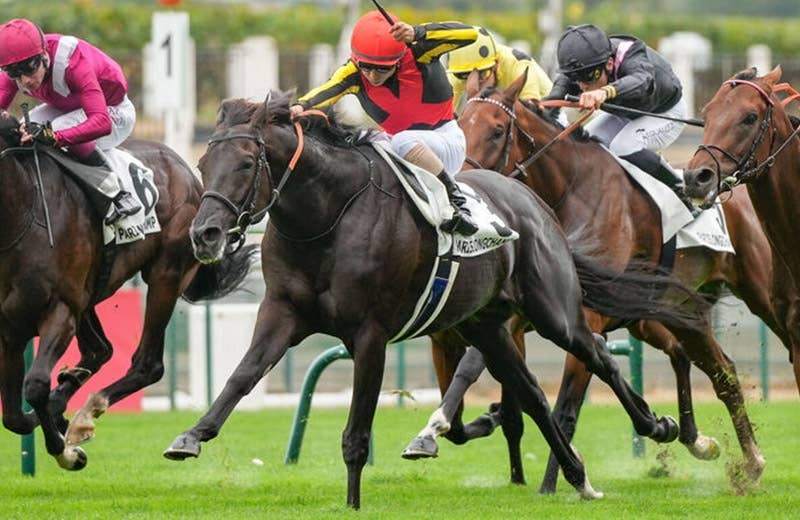 クロワデュノール 新馬戦 馬券 クロワデュノール 新馬戦 馬券 東京5R・