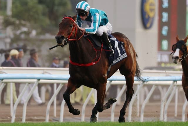 ロマンチックウォリアー（Romantic Warrior） | 競馬データベース