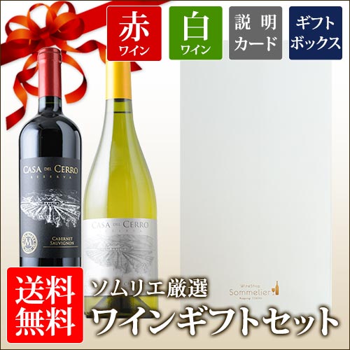 ジュヴレ・シャンベルタン シルヴァン・デュボー 2022年 フランス