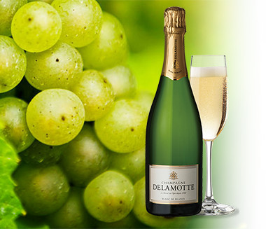 ドゥラモット・ブリュット・ブラン・ド・ブラン NV フランス