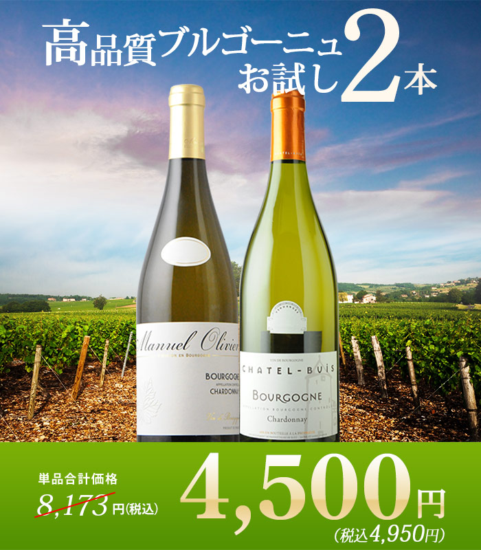 白ワインの王様 高品質ブルゴーニュ2本セット 白ワインセット「2/21