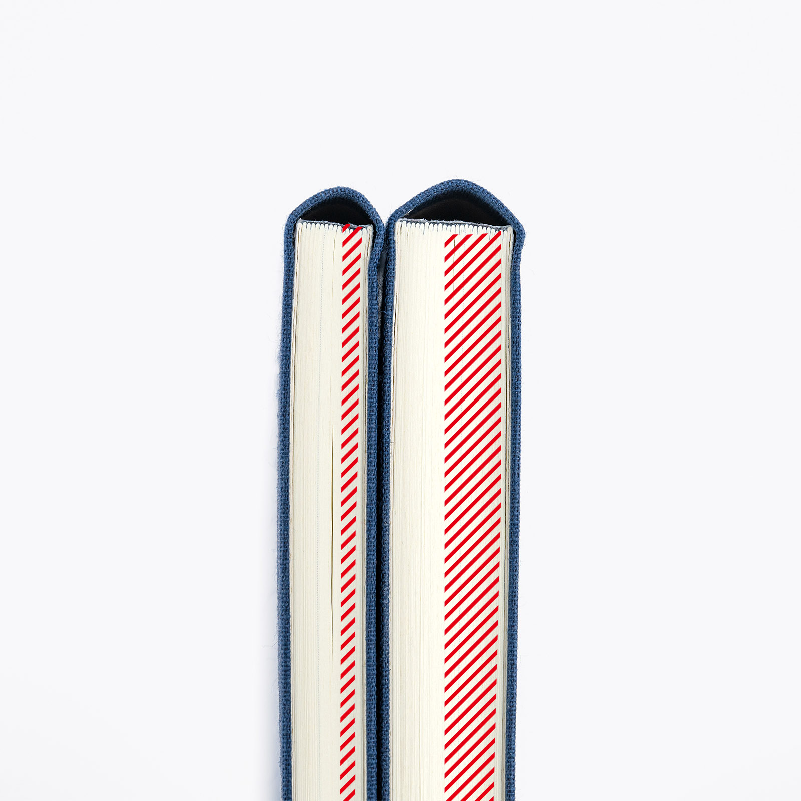 タイ＆チーフ / 駆ける馬 ［weeks MEGA/週間レフト/日本語版・英語版/1