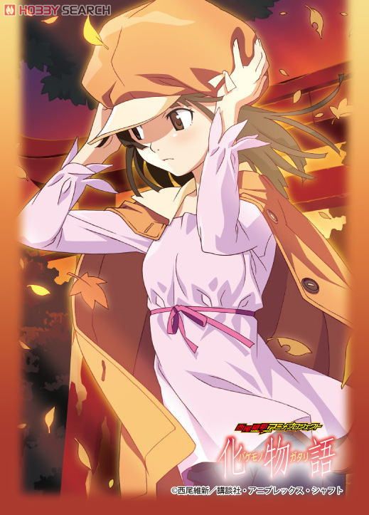 世界6枚】PSA10 蛇に巻きつかれた少女 千石撫子 sp サイン 化物語 卸売