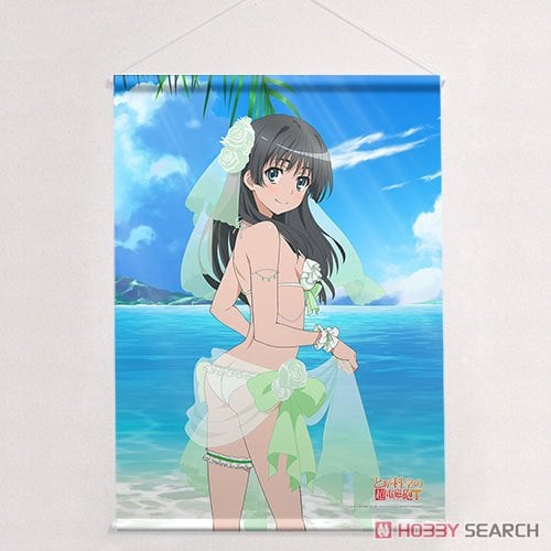 とある科学の超電磁砲T あにばーさる 特典 B2タペストリー Amazon.co