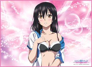 合皮製デッキケース ストライク・ザ・ブラッドIV 「姫柊雪菜