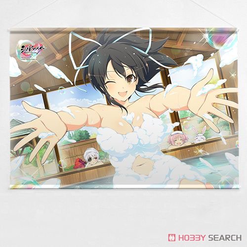 シノビマスター 閃乱カグラ NEW LINK] B2タペストリー (飛鳥/シノビ