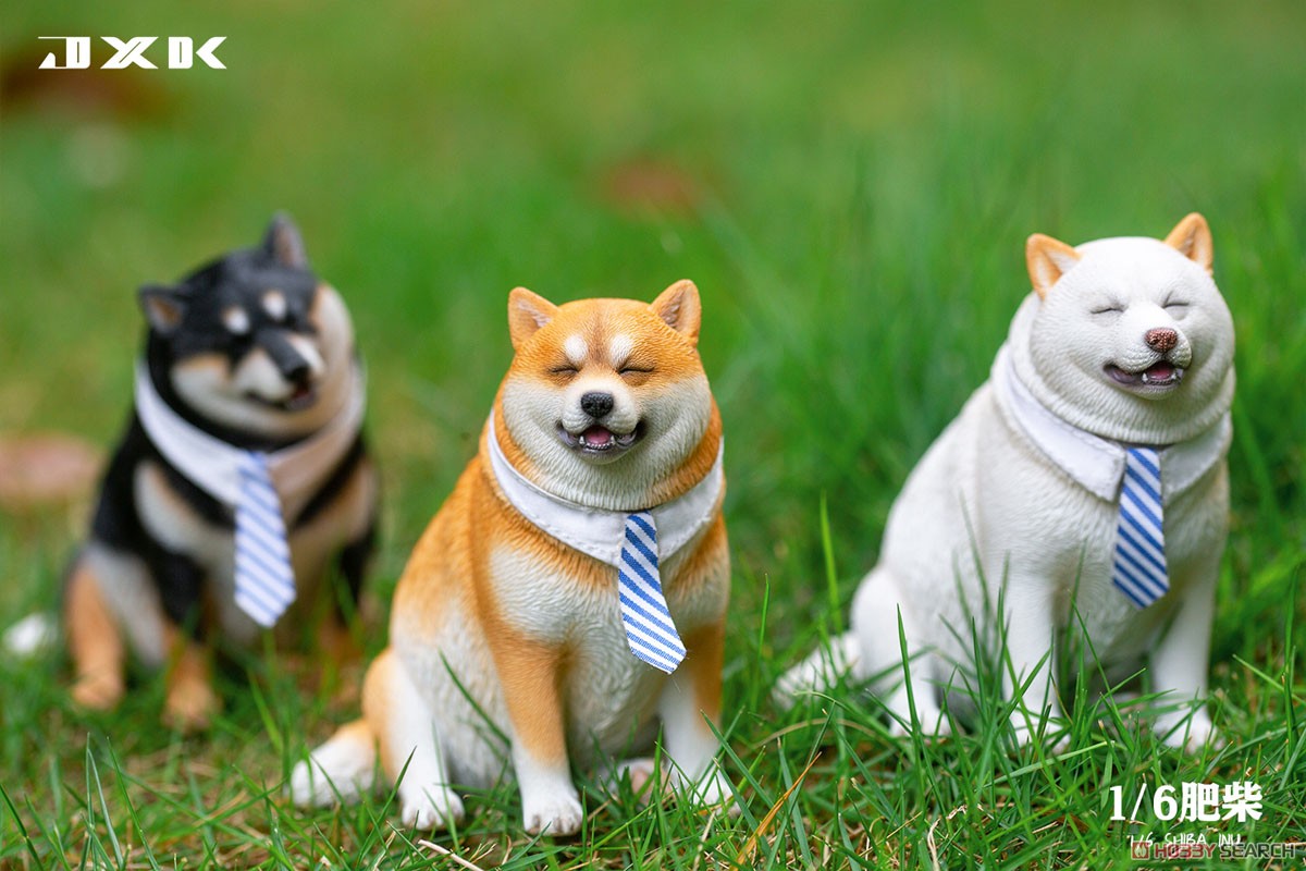 1/6 Fat Shiba Inu B (Fashion Doll) - HobbySearch Fashion Doll Store