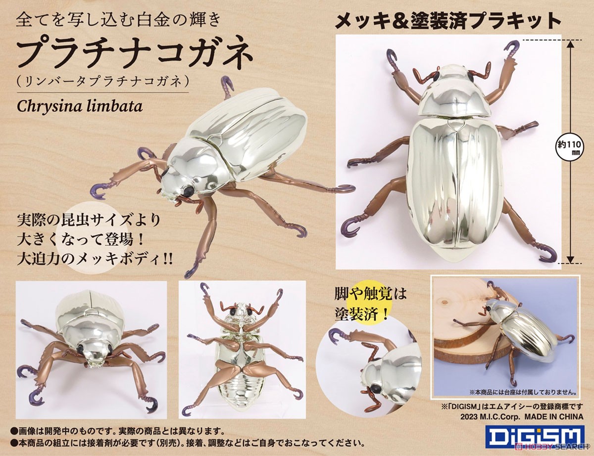 プラチナコガネ8頭ドイツ箱セット