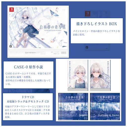 白昼夢の青写真 CASE－チケット特典・会場限定グッズ タペストリー