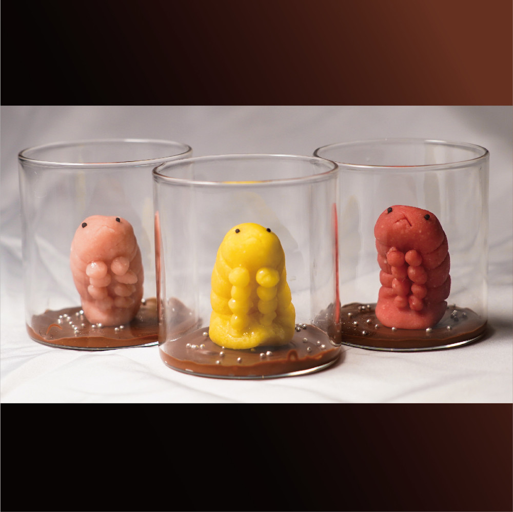 新品未開封 デスストランディング クリプトビオシス 2種セット デス