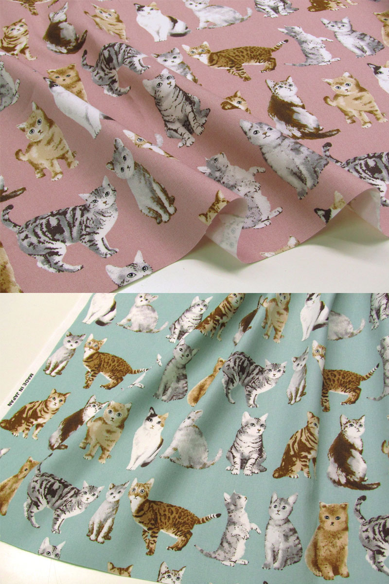 猫 にっぽんのリサ猫（三番、益子）あめゆう