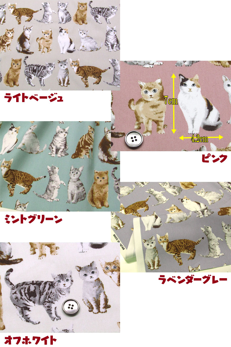 猫 にっぽんのリサ猫（三番、益子）あめゆう