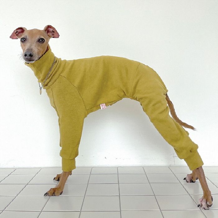 イタグレ服 無地 ロンパース 韓国 犬服 小型犬 中型犬 秋冬 doggystar