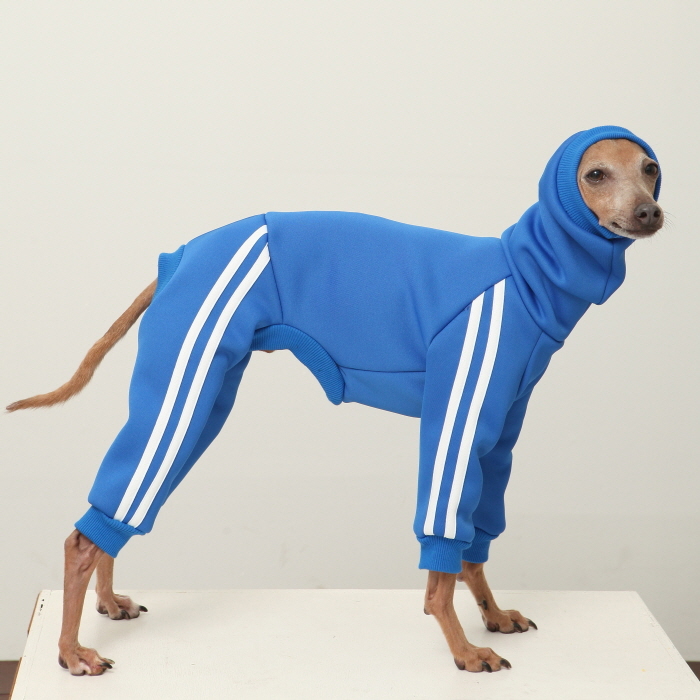 イタグレ S M L XL 2XL 3XL 裏起毛 ジャージ ロンパース つなぎ 小型犬