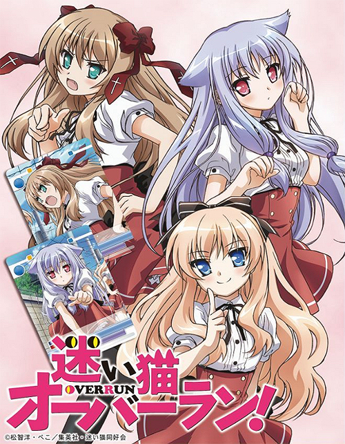 ヴィクトリースパーク 迷い猫オーバーラン 未開封パック ボックス