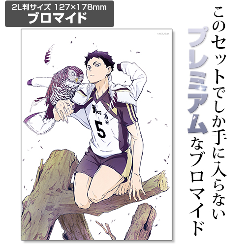 ハイキュー ジャンフェス 木兎 赤葦 当たり アクリルブロッキー