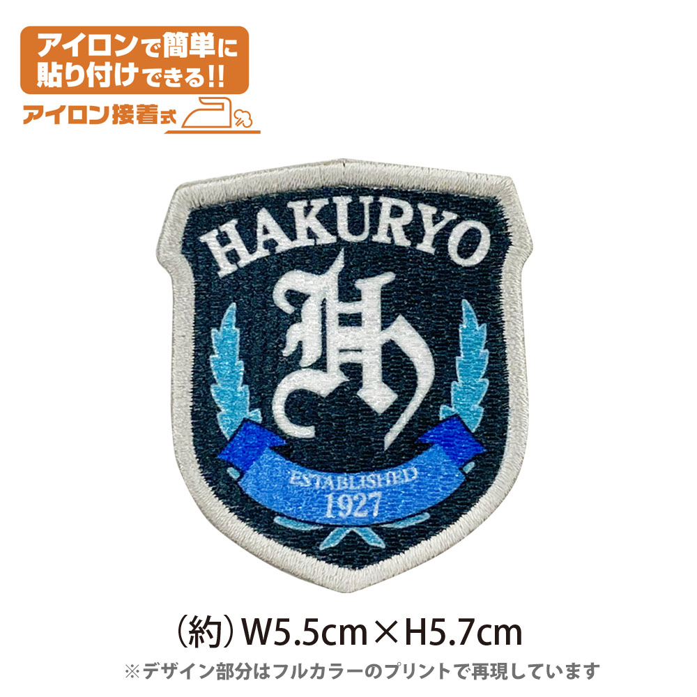 マイティウィッチーズ 508部隊賞ワッペン マイティウィッチーズ 508