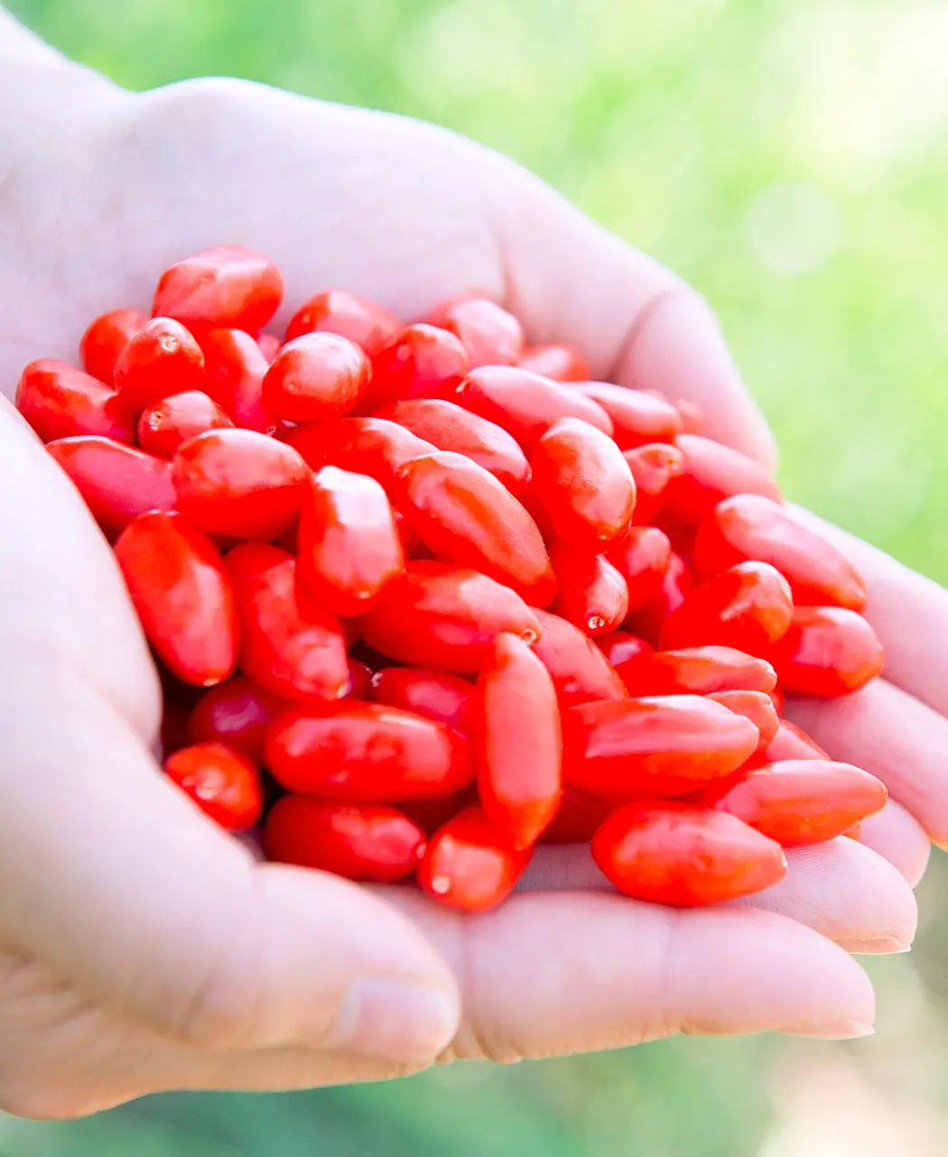 未開封ー有機クコジュース 500ml 3本 通販生活 約3割引 3本セット