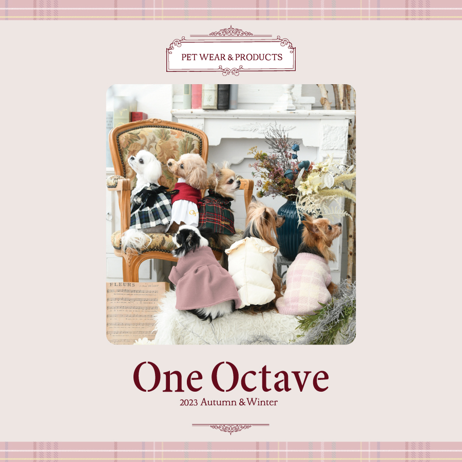 ONE OCTAVE（ワンオクターヴ）レース襟ワンピ | 犬服・ドックウェア
