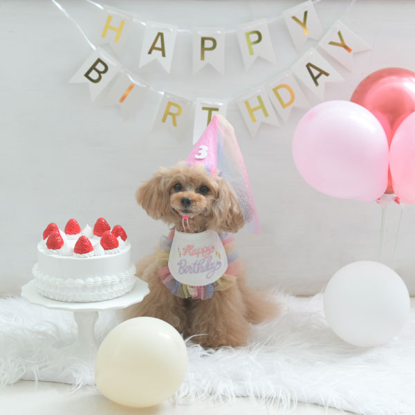 Calulu（カルル）【HAPPINESS LINE】パーティースタイ | 犬服・ドック