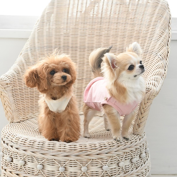 Calulu Petit（ カルルプチ）ボタン付きタンクトップ Petit | 犬服