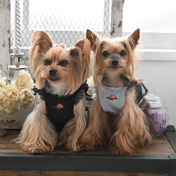 ANNA SUI（アナ スイ）ティアードチュールワンピース | 犬服・ドック