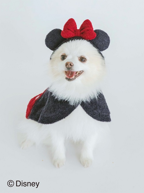gelato pique（ジェラートピケ）【CAT&DOG】【販路限定商品】Minnie