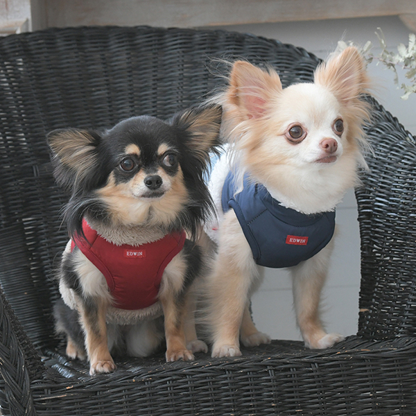 2025秋冬 EDWIN（ エドウィン）デニムポケット付切り替えフリース