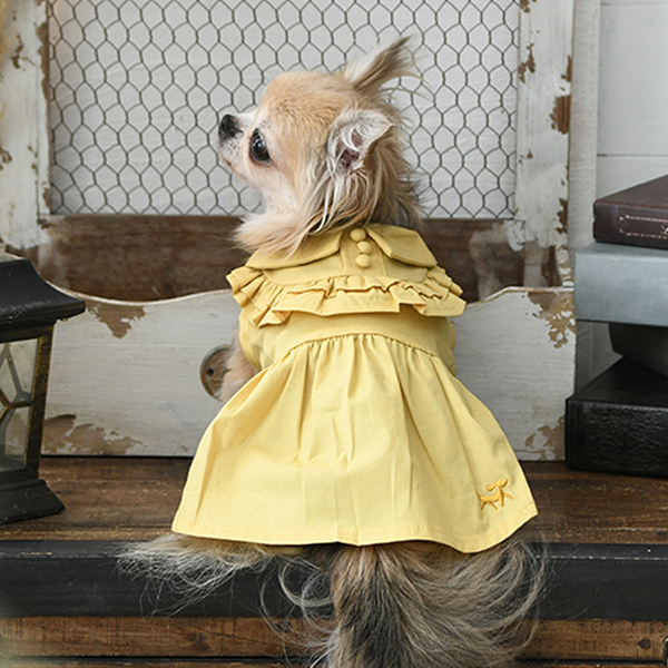 ROPE PICNIC（ロペピクニック）フリルシャツワンピ | 犬服・ドック