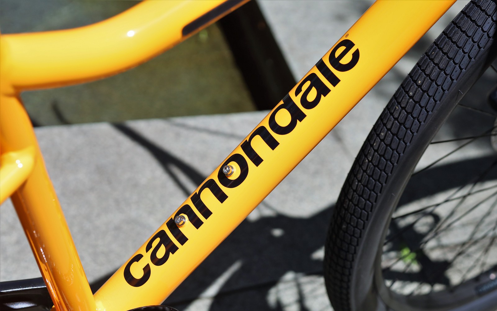 Treadwell 2 新色「マンゴー」が入荷しました | キャノンデール横浜