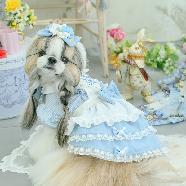 ペットサロン専用業務用アクセサリーの通販ショップ『きゃんナナ』– 卸