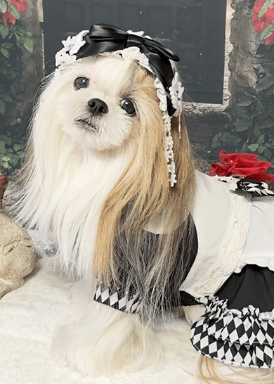 Tomorin0708)CanNana きゃんナナSMサイズ ホワイトフリース TOPページ