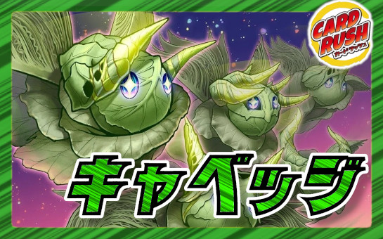 緑単キャベッジ グランセクト 【24時間以内発送】 緑単キャベッジ