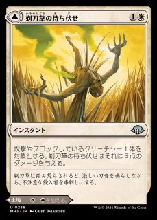 MTG オークの弓使い 日本語版 オークの弓使い (Orcish Bowmasters