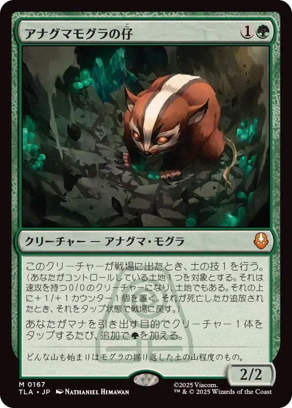 MTG アナグマモグラの仔 Badgermole Cubフルアートfoil 英語 MTG