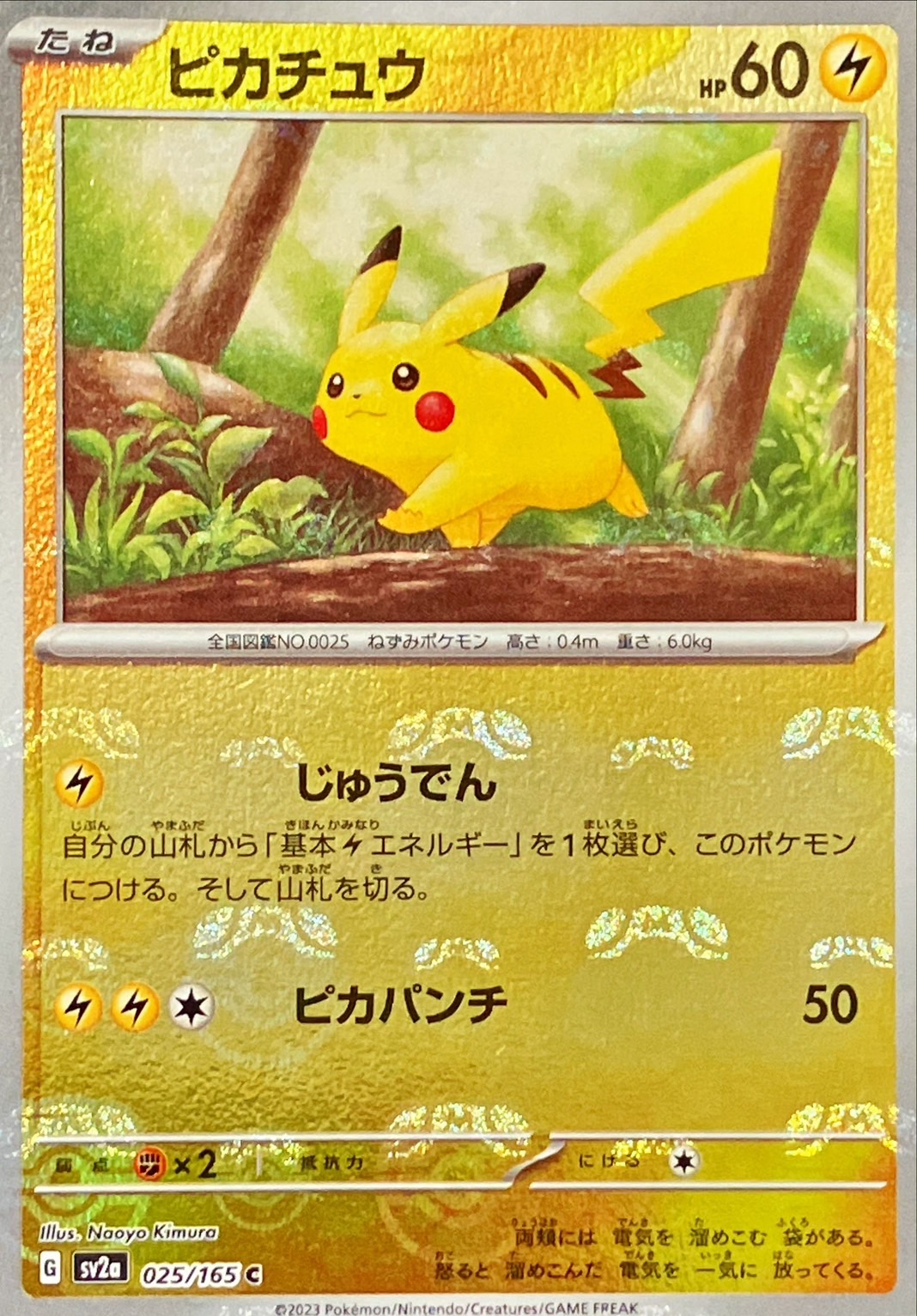 状態C〕ピカチュウ(マスターボールミラー)【C】{025/165}