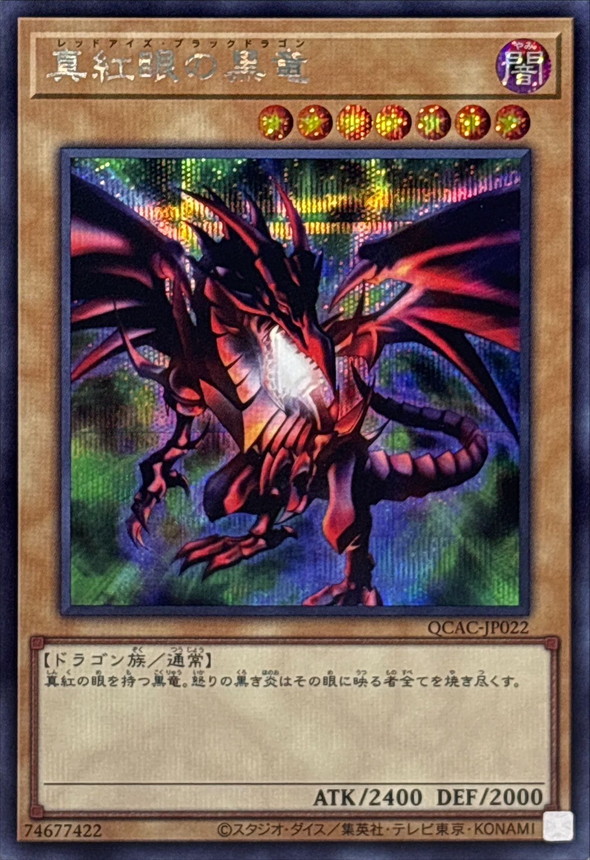 遊戯王 親知らず 真紅眼の黒竜 レッドアイズ ブラックドラゴン